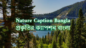 Beautiful Nature Caption Bangla