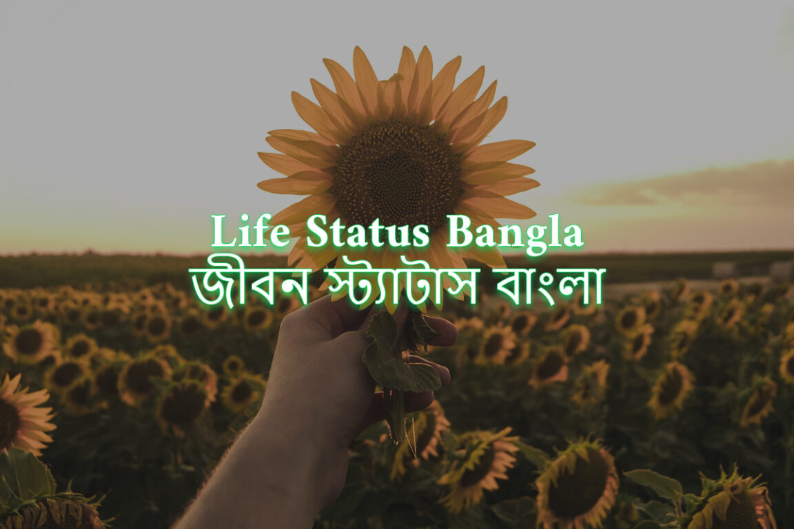 180+ Best Life Status Bangla (জীবন স্ট্যাটাস বাংলা) 2024
