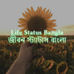 Best Life Status Bangla