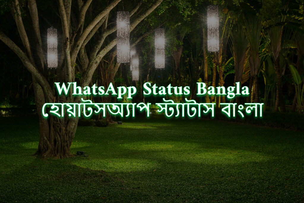 Best WhatsApp Status Bangla