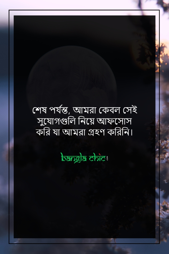 about life bangla status