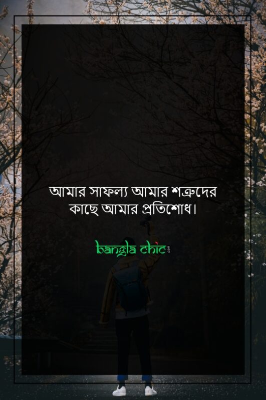 350+ Best Bangla Attitude Status (এটিটিউড স্ট্যাটাস) 2024