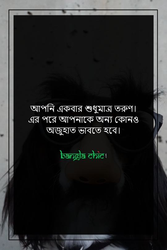 bangla funny status for whatsapp