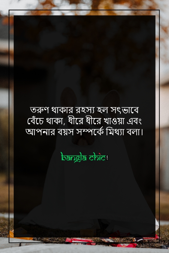bangla funny video status