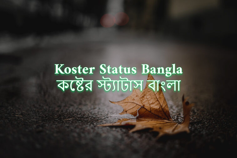 bangla koster status