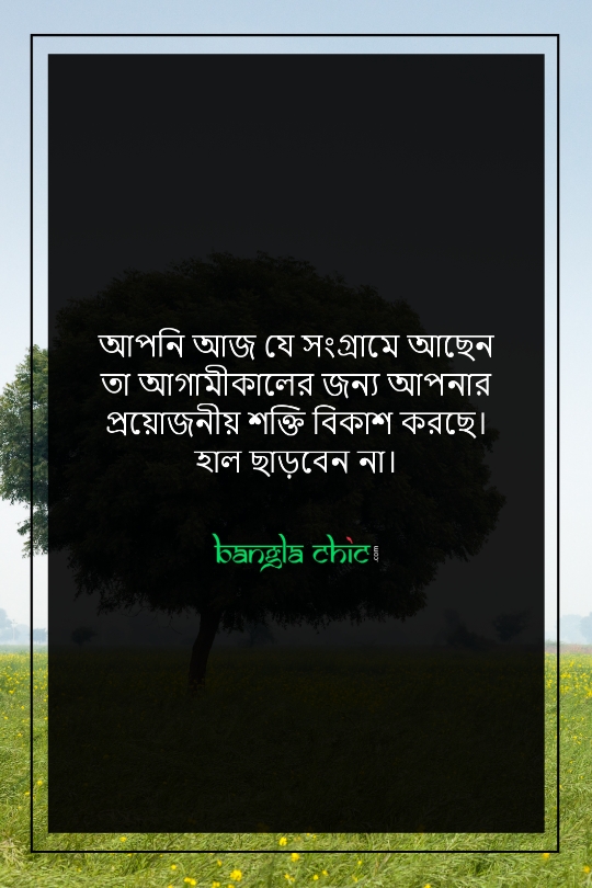 bangla koster status bangla write