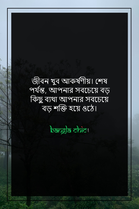 bangla koster status hd