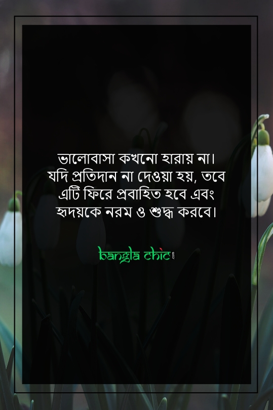 bangla romantic love status