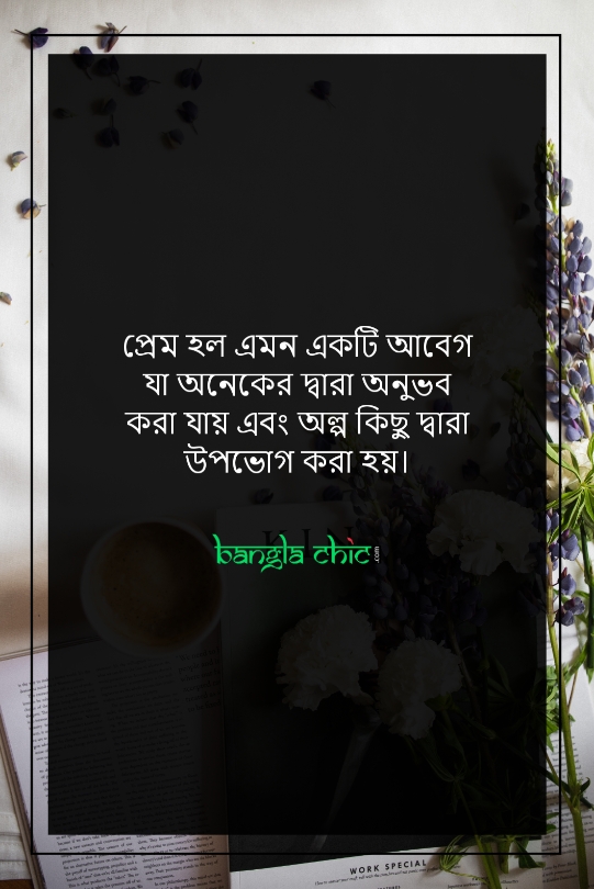 bangla romantic status song