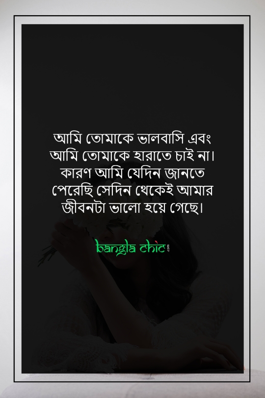 bangla romantic status video download