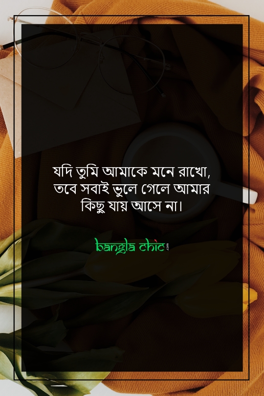 bangla romantic status video