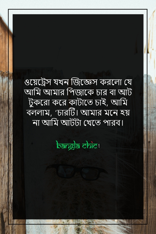 bangla status funny