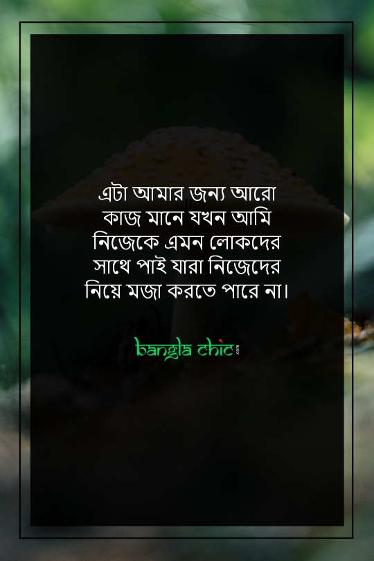 facebook profile picture status bangla