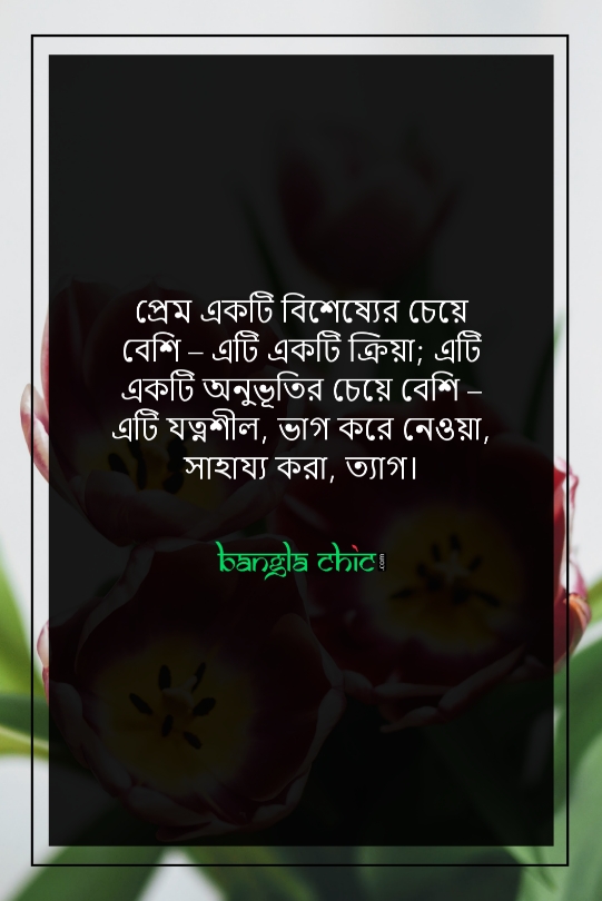 facebook status bangla romantic