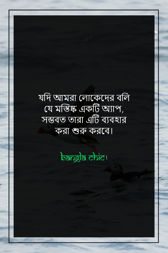 facebook status love bangla