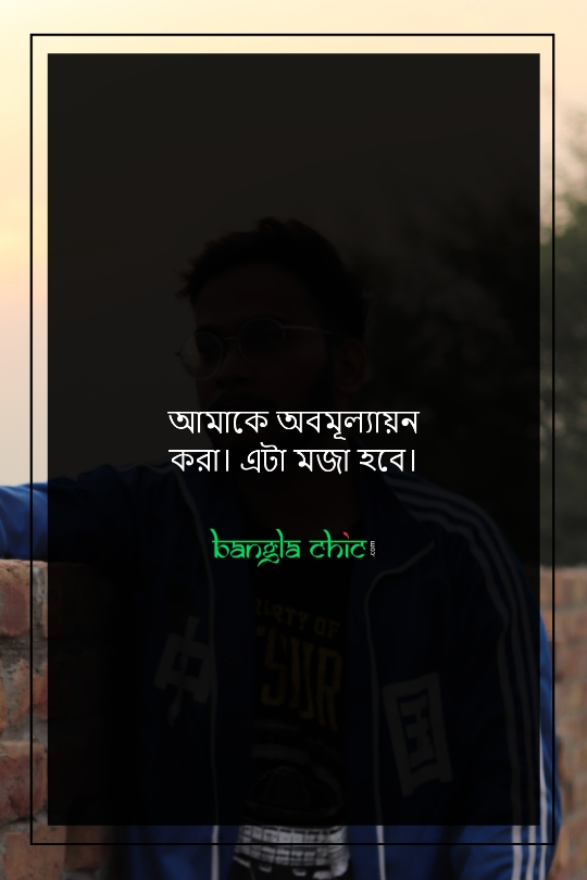 fb status bengali attitude