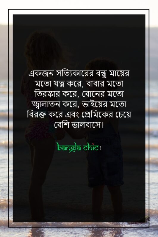 220 Best Friendship Status Bangla বন্ধুত্বের স্ট্যাটাস 2024 8592