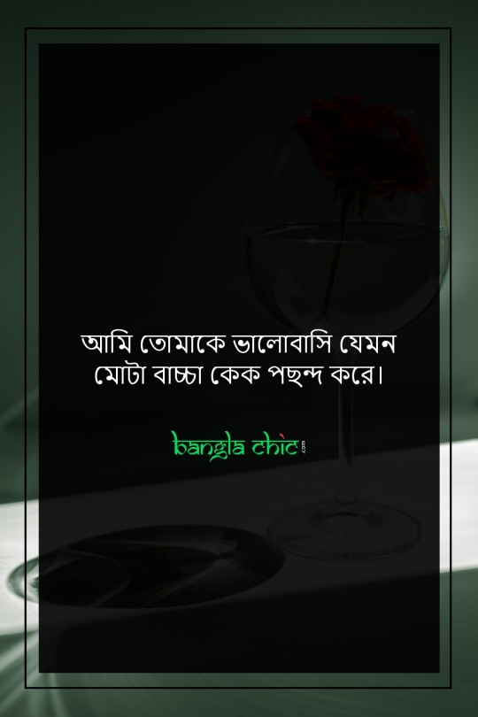 romantic bangla status