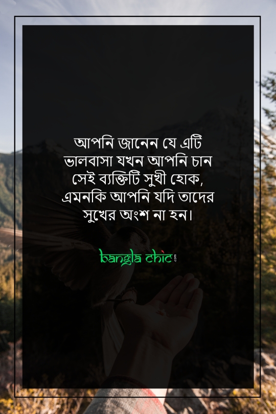 romantic status bangla pic