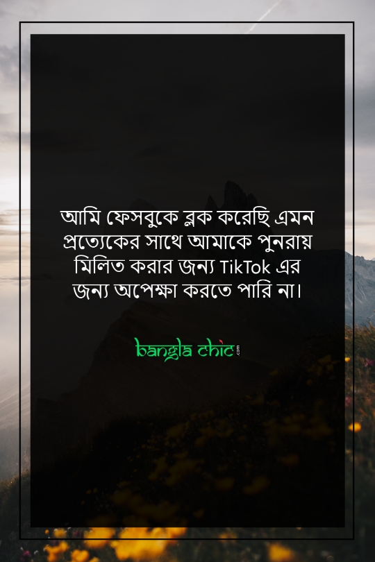 sad bangla facebook status
