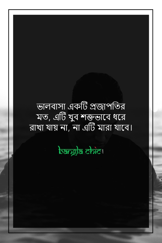 sad love facebook status bangla