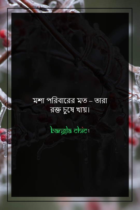 sad status for facebook bangla