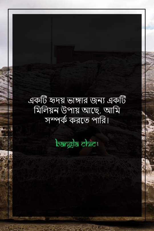 sad bangla status